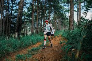 BIB: 
                            <button type="button" onclick="openModal(25756604)" class="btn btn-primary btn-sm float-right btn-popup" data-toggle="modal" data-target=".modal-high-quality">
                        <i class="fas fa-shopping-cart"></i> Add to Cart
                    </button>
                                            <button type="button" onclick="isThisMe(25756604, true)" class="btn btn-success btn-sm float-right btn-popup btn-isme hidden" data-toggle="tooltip" data-placement="bottom" title="นี่คือรูปของคุณใช่ไหม คลิกที่นี่เพื่อเอาเข้าอัลบั้ม">
                        <i class="fas fa-plus"></i> Add to album
                    </button>
                    <button type="button" onclick="isThisMe(25756604, false)" class="btn btn-warning btn-sm float-right btn-popup btn-isnotme hidden">
                        <i class="fas fa-ban"></i> Remove from album
                    </button>